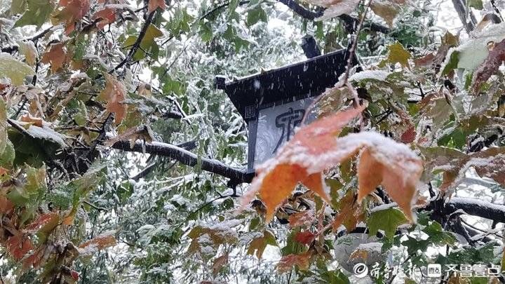 趵突泉|初雪降临泉城！趵突泉雪景大片美爆啦