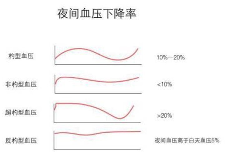 负荷|【健哥说心脏】动态血压监测报告该怎么看？