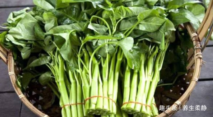视力|人到中年要会吃，坚持吃以下菜，软化血管，清热解暑，增强抵抗力