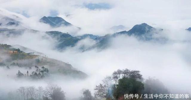 一夜成名&老祖宗的四句话,听进去了少奋斗十年,人生层次就不同了!