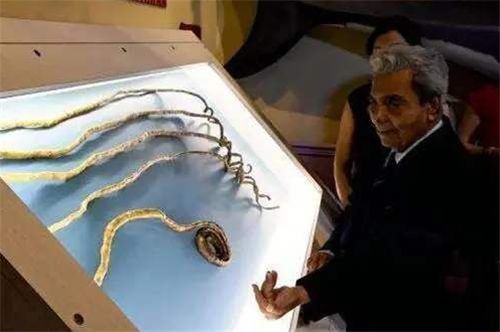  手指|他66年没剪指甲，曾打破吉尼斯纪录，捐博物馆后手指却发现新变化