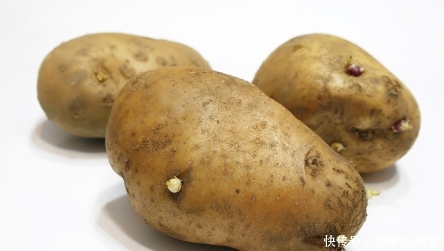 西葫芦|有8种蔬菜要少吃,为了身体健康,建议日常减少食用量