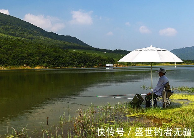 草鱼|夏季野钓草鱼,这款饵可以让它疯咬不止,上鱼不断——盛世三渔