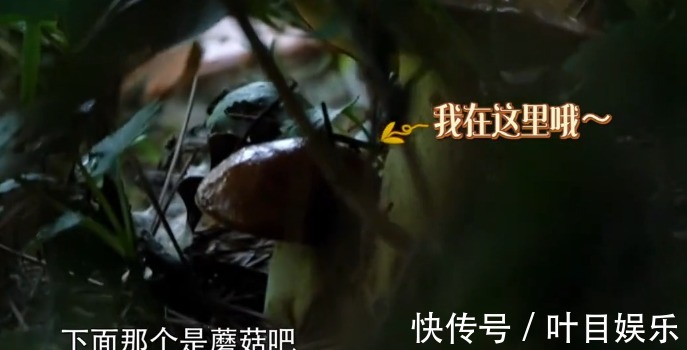 《向往4》辣椒一夜变红,被质疑是穿帮镜头农村人的解释很到位
