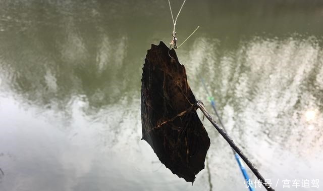 除了鱼获之外,钓到这些奇葩东西,才算真正的钓鱼人