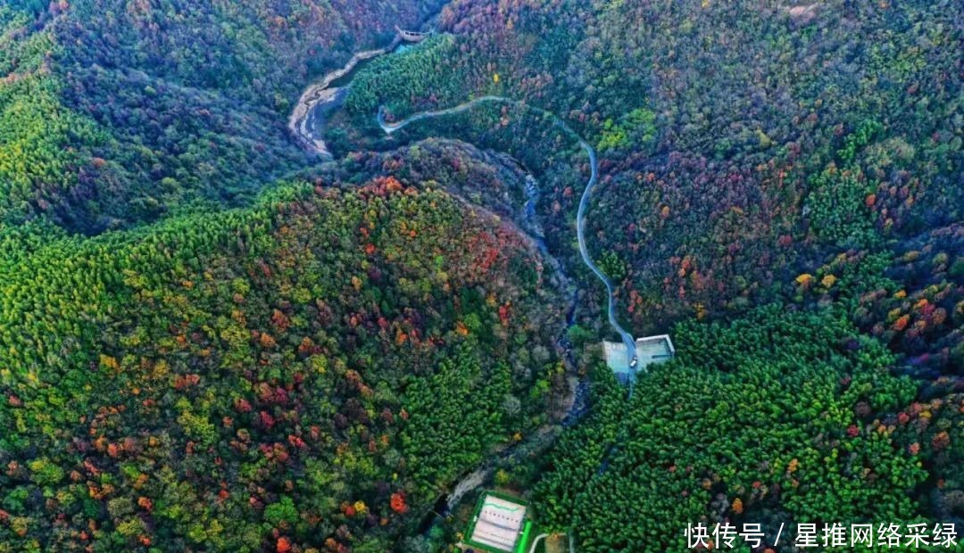 风光|在十一月的大别山里，寻觅色彩斑斓的龙津溪地风光！