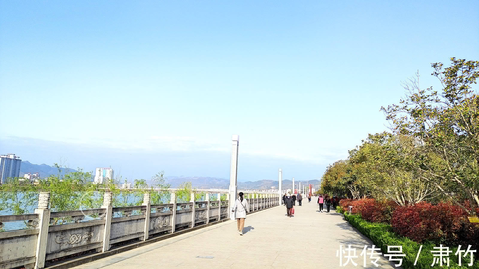 肃竹#梦想如同鲜花,掩盖在伤痕之上