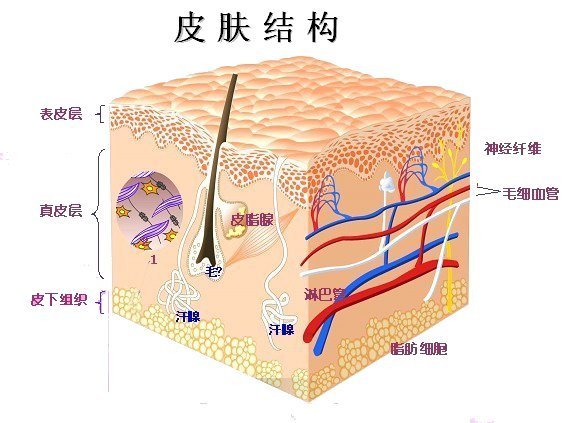 香皂|牙膏可以洗脸吗？牙膏洗脸好吗？洗脸的正确方法？