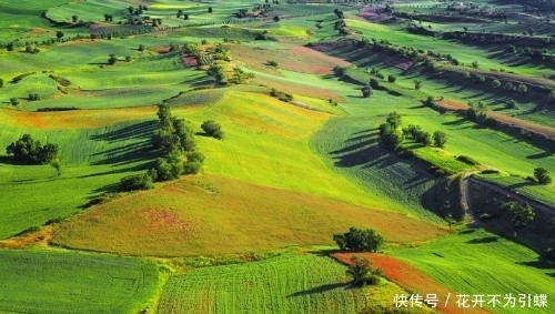 新疆风景｜江布拉克——随便打开一张都是电脑桌面