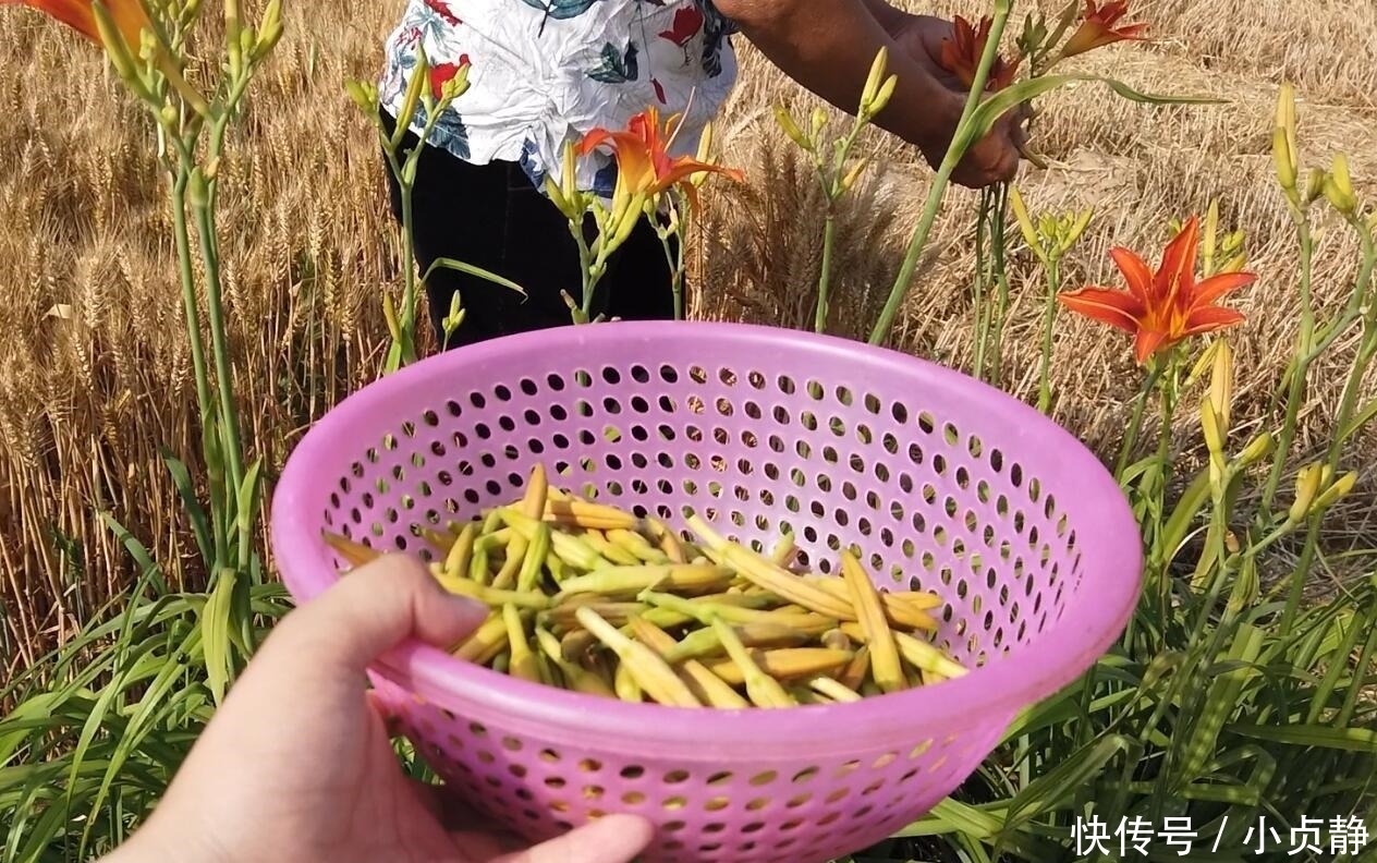  蔬菜|不焯水不能吃的5种蔬菜，以后别再直接下锅了，吃了肠胃不舒服