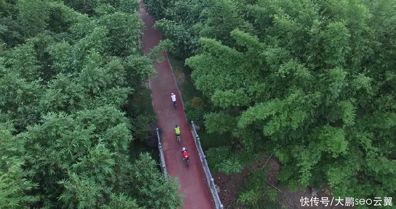 丰惠|跟我游瑞安，体验乡村之旅，感受田园风光，文化旅游主题精品线路