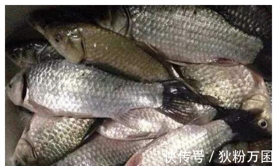 冬季钓鱼巧打窝,学会这几点,冬钓不再是难题