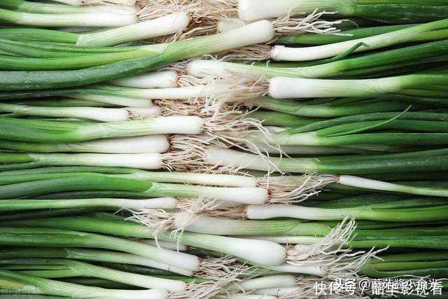 冬天大葱这样保存，比冰箱还管用，存放几个月也不空心不烂根