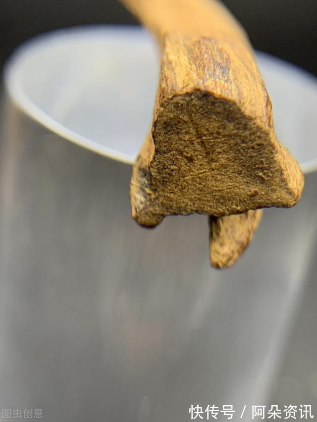 价值|院子里有空地,就种“四大名贵树”,越大价值越高