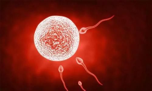 二胎政策|为什么有人一直生不出男孩?科学研究:主要三个原因