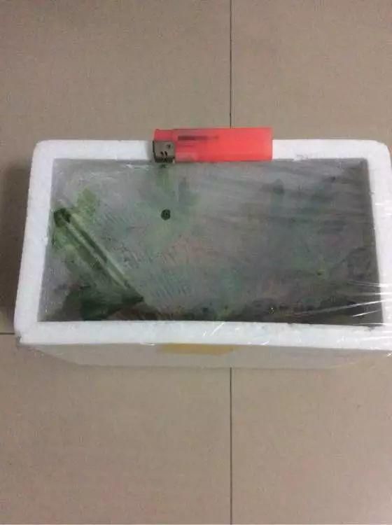 厨房里的“小东西”，养花作用想不到！解决很多养花人的烦恼！