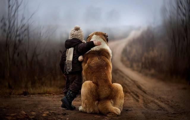  写给|李白少见写给妻子的唐诗，如同家常唠嗑一般，平淡中见真情