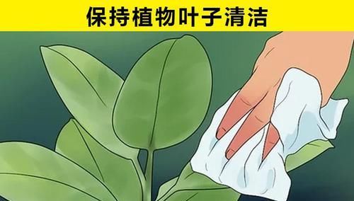 在生活中，湿纸巾可以给你带来的10个帮助