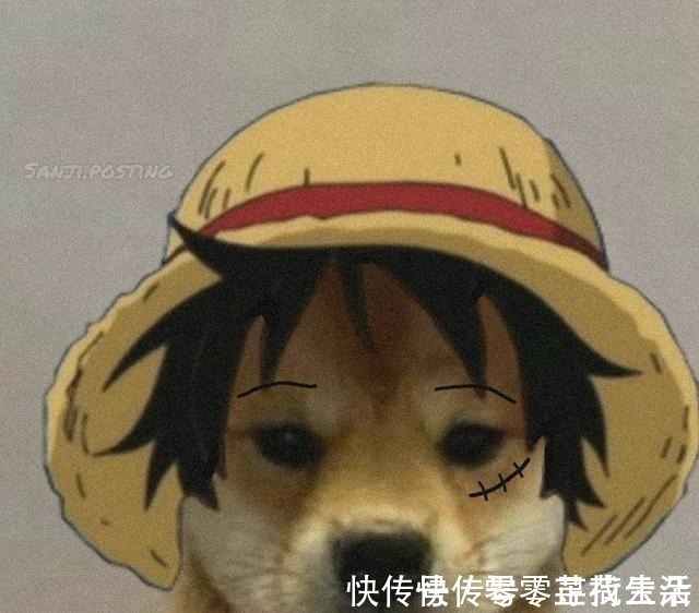 狗狗|海贼王狗头系列,9大角色神还原,狗圈的COS大佬掌握角色精髓