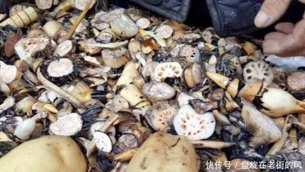 收集|老汉每天守在菜市场收集这种没人要的东西,竟能治好这个小毛病