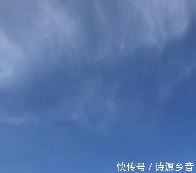 美食文@强推五部美食文 市井田园 家长里短!