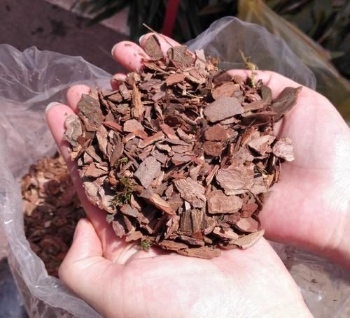 4种“垃圾”捡回家,埋在花盆下,啥花都越养越旺,叶绿开花久