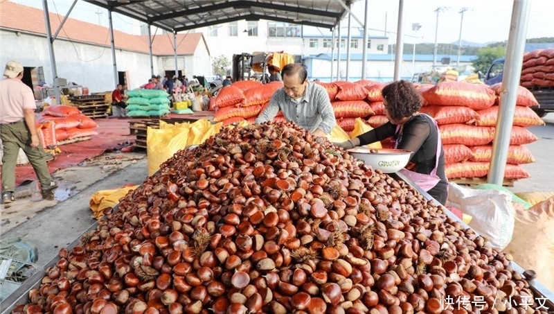 所贩卖|批发价一斤6元,在超市不好卖,到街边店一斤20元热卖