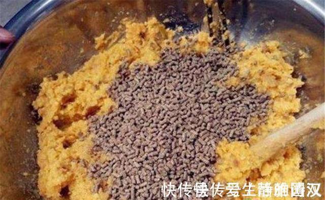 夏季|夏季钓鲤鱼，这三个技巧尤其重要，影响了“空军”还是“爆护”