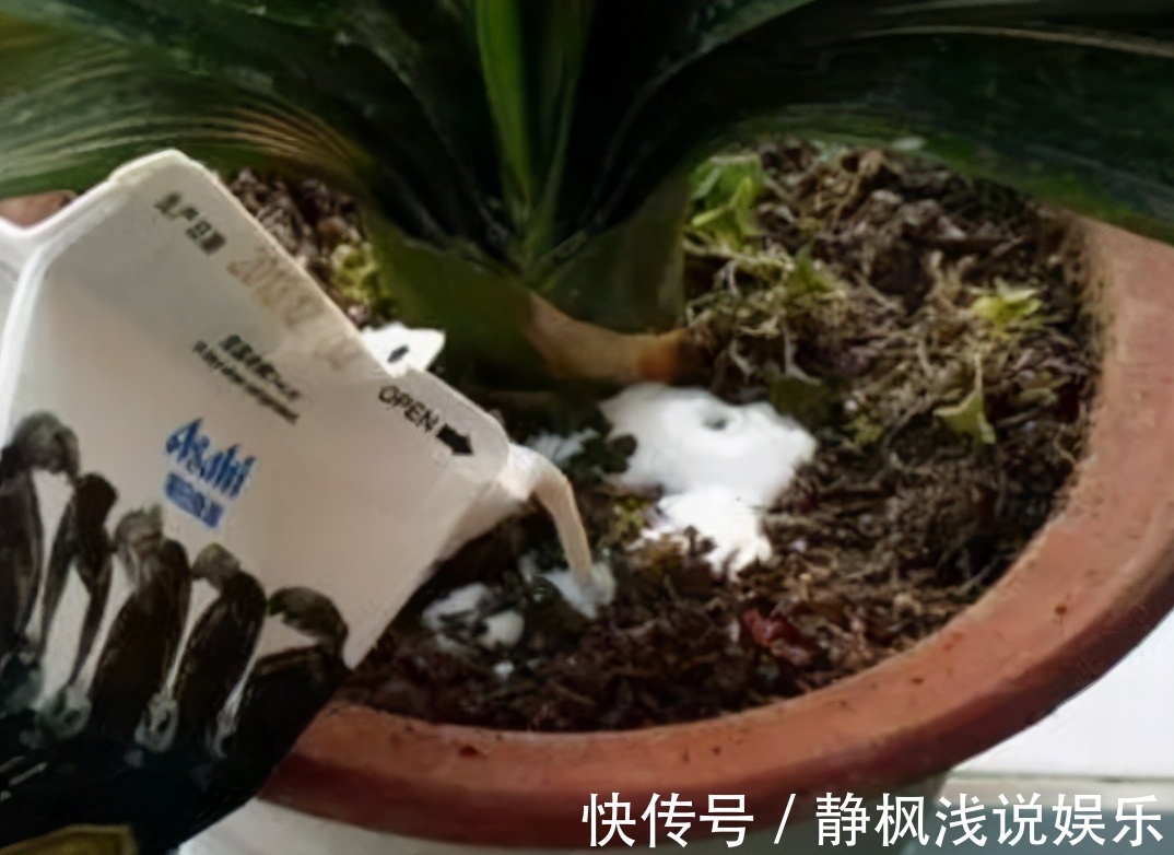 养花最“坑人”的妙招,老花匠都不敢用,养花新手一定别尝试