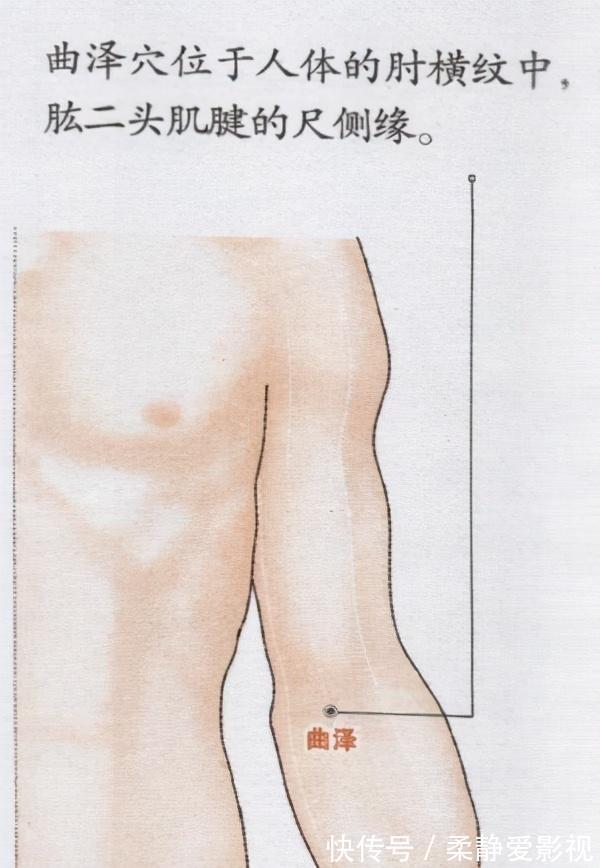 合穴|12合穴,为六腑打好基础,脏腑健康人才健康