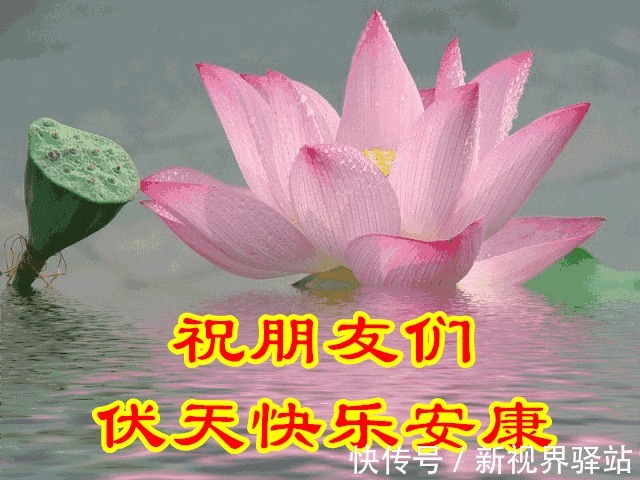 入伏|“三伏天”攻略来了！3瓜3肉记得吃，6关6怕需牢记！