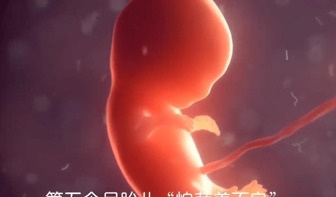 受精卵|胎儿在孕妈肚子里最怕啥怀胎十月,每个月都有不同的“脆弱点”
