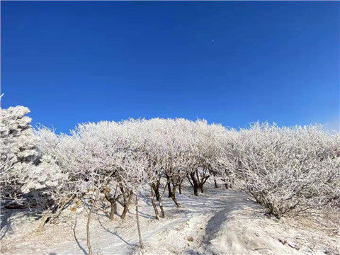 岱顶|落日余晖映晚霞 云海翻滚雪凇立