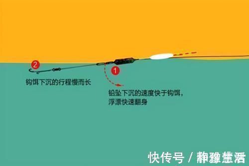 短子线|秋末钓鲫鱼，子线用长还是用短这样选更科学，中鱼率飙升几倍