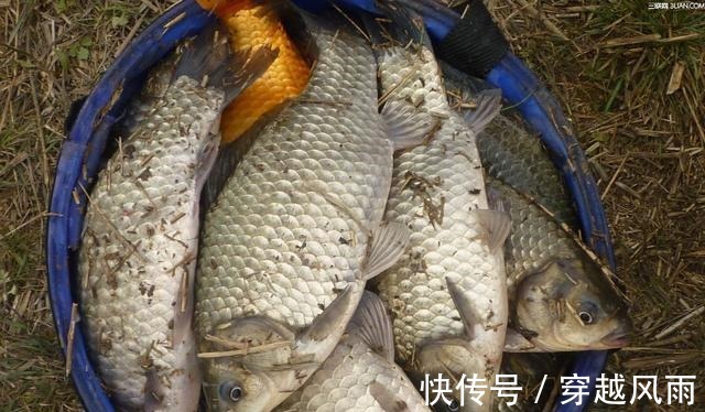 鱼窝|冬钓找不到鱼窝 教你3招, 新手也能快速找到鱼窝子, 提竿就中鱼!