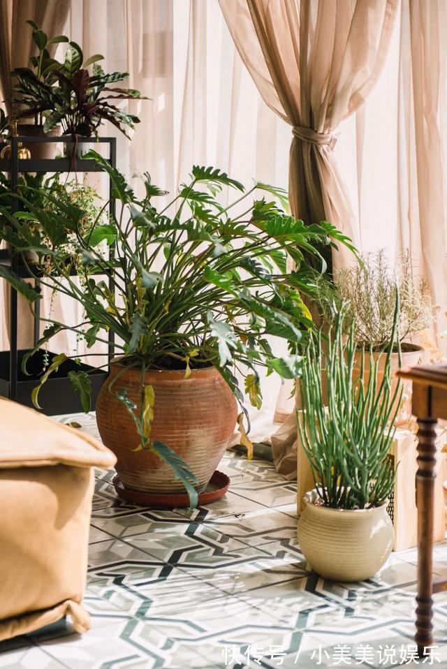 阳台上|90后小姑娘的独居公寓，阳台打造成森林，一个人住也舒服