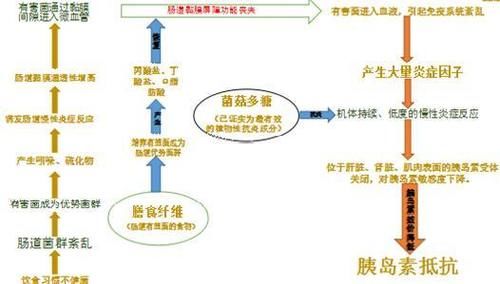  重建疗法|案例：16年病程糖友血糖9降到6，3年病程糖友8.5降到6