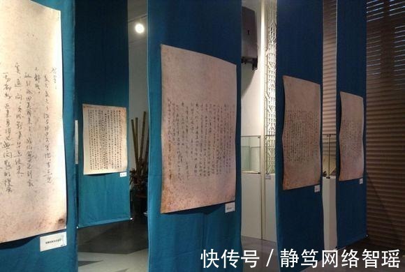 英文#植物大战僵尸:它们能够取代坚果家族?站着不动都能消灭僵尸!