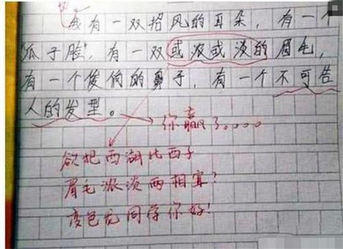 满分|小学生“0分作文”走红，老师认为凑字数，宝妈懵了应该满分