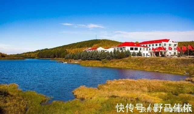 钓鱼|大鲫鱼藏在哪这5个地方都是鱼窝，看你错过了多少鱼