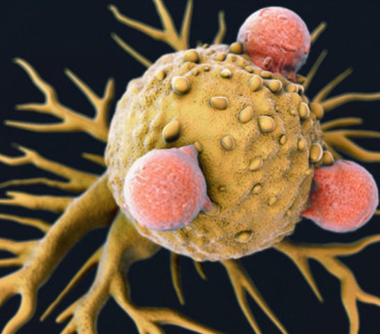 红薯吃多了也有这4个坏处，吃过的人也有所体会