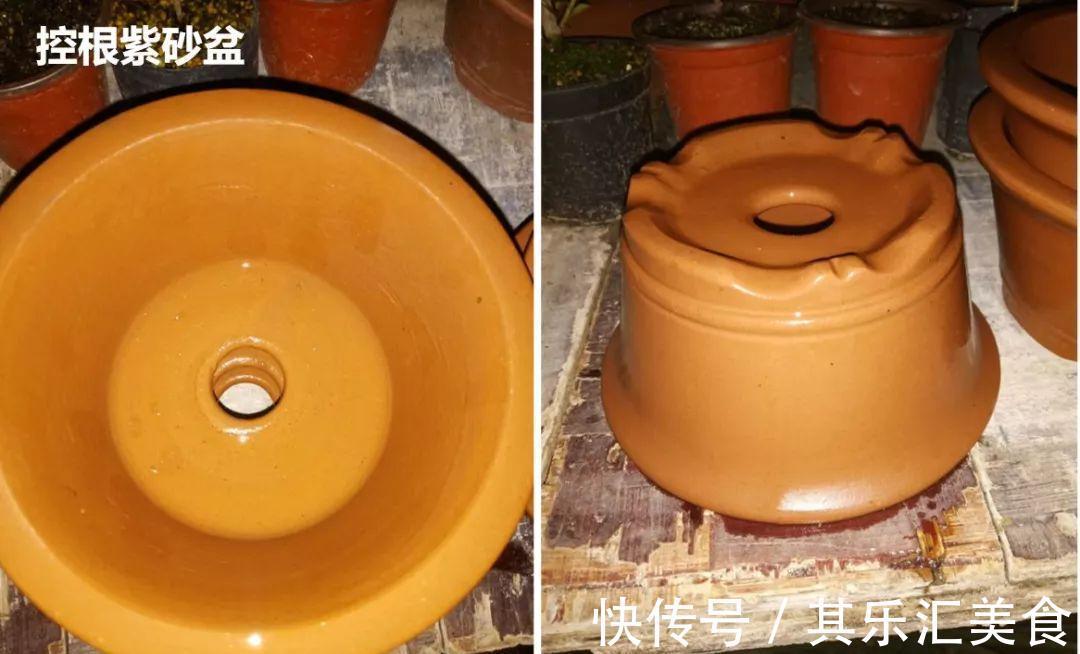 养花技巧:养花别用这种盆,养啥死啥,1棵都不剩