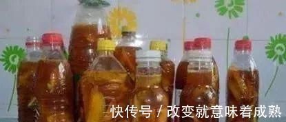 虎皮兰|3种没人要的“玩意”,捡一点养花,肥效好,还防冻!