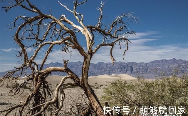 恶水|探秘美国死亡谷：漂流的神秘石块，消失的4名游客，留下未解之谜