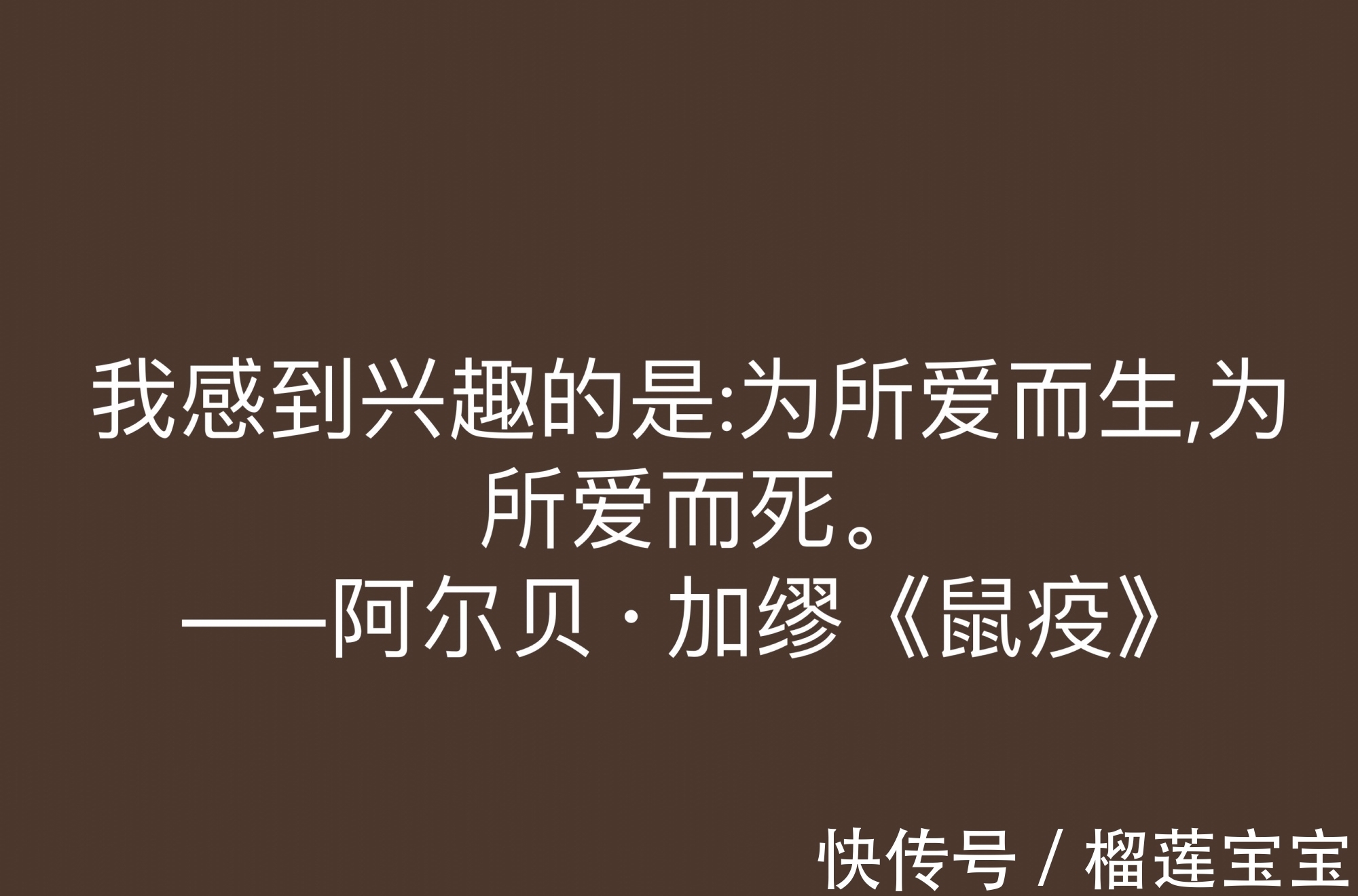 阿尔贝·加缪!法国大作家加缪,小说《鼠疫》十句格言,充满人生哲理,值得深悟