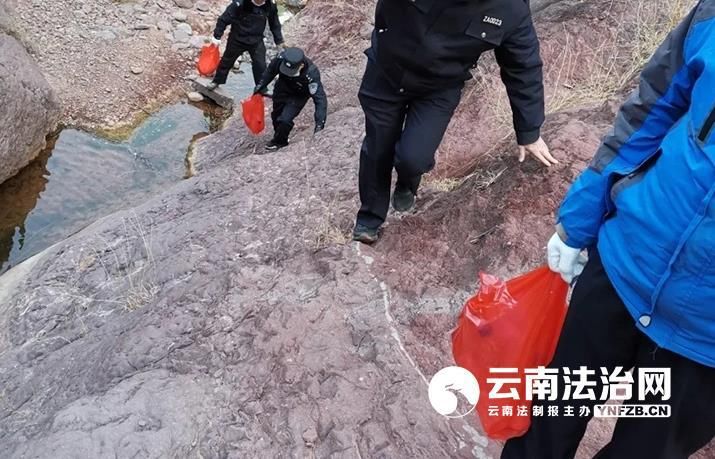 大山|大姚森警：用脚步丈量大山 做生物多样性的守护人