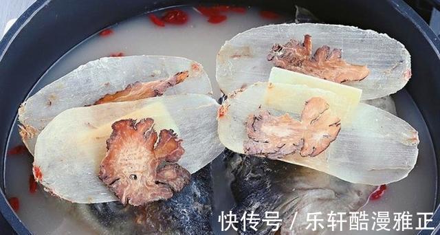 鲢鱼头|天麻怎么炖来吃