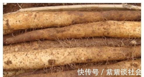 菜市场上买山药时,“这3种”山药万万不要买,看完长见识!