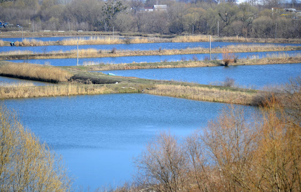 冬季的水产养殖如何做好防护工作?