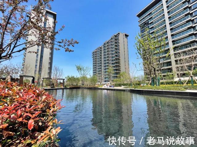 房源|验资100万!苦等1年,中创金鹰终于要开盘